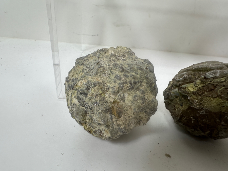 (13) Thundereggs Rock Geodes [Photo 14]