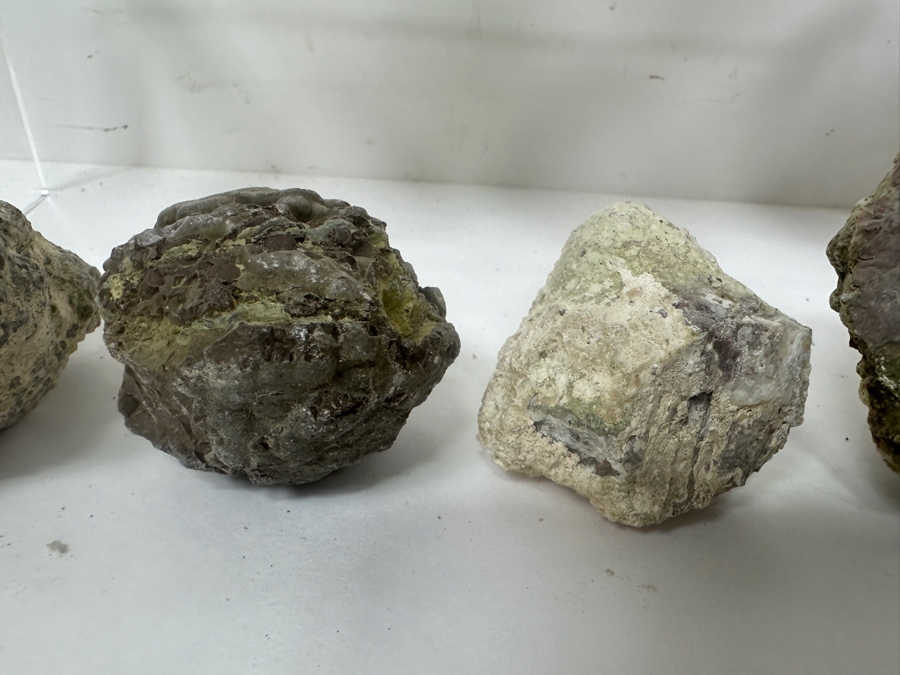 (13) Thundereggs Rock Geodes [Photo 13]