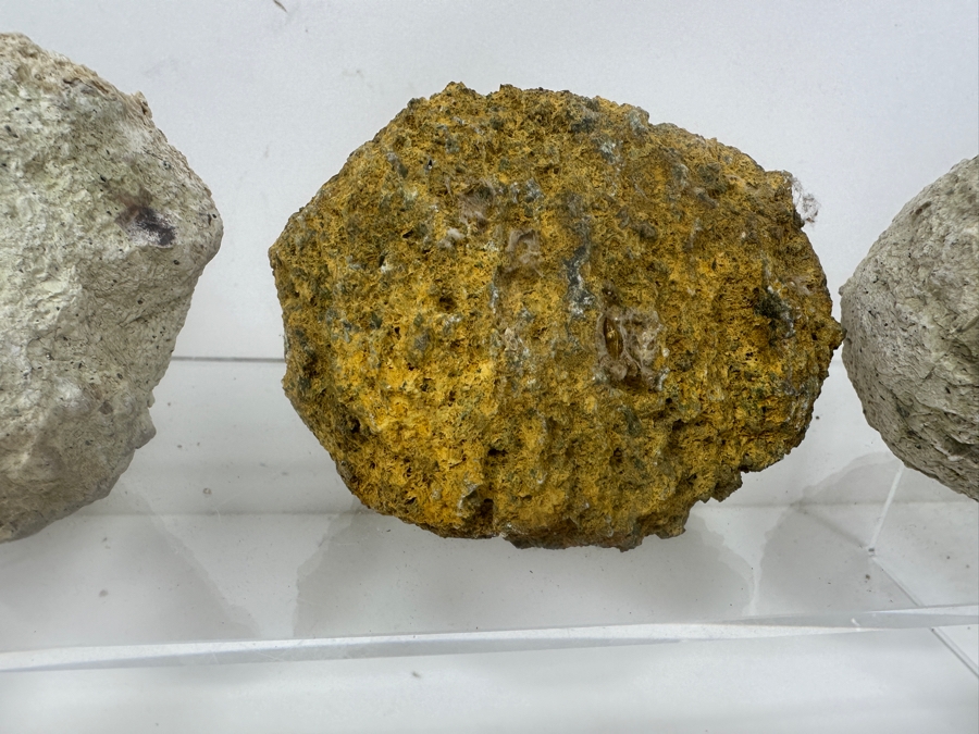 (13) Thundereggs Rock Geodes [Photo 6]