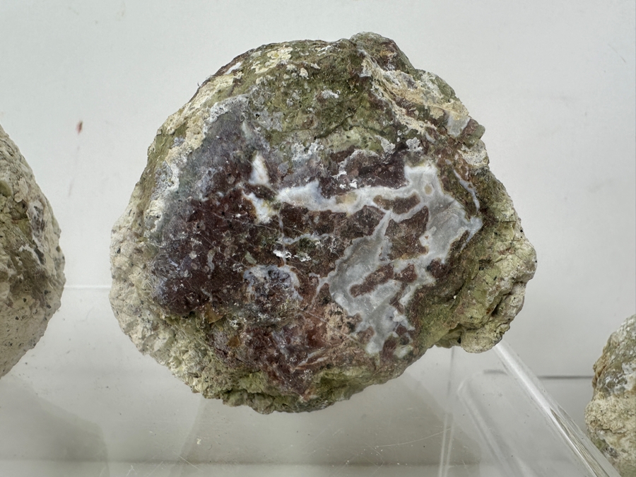(13) Thundereggs Rock Geodes [Photo 3]