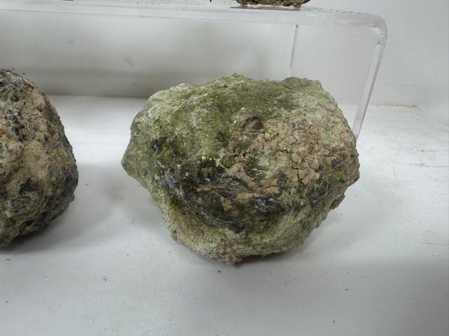 (13) Thundereggs Rock Geodes [Photo 8]