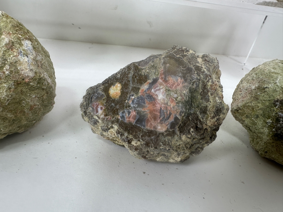 (13) Thundereggs Rock Geodes [Photo 9]