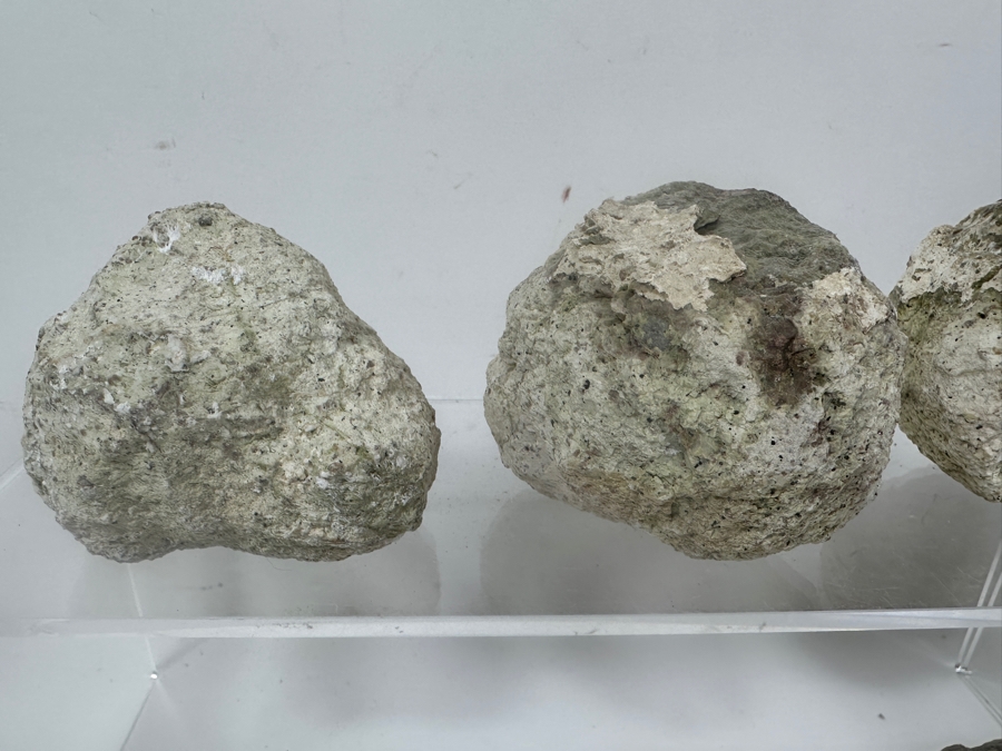 (13) Thundereggs Rock Geodes [Photo 4]