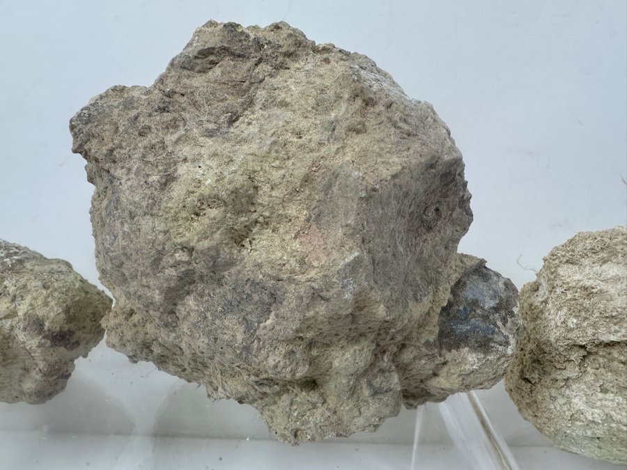 (16) Thundereggs Rock Geodes [Photo 3]