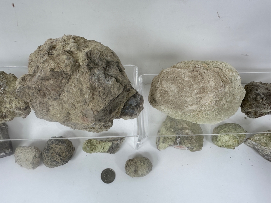 (16) Thundereggs Rock Geodes [Photo 6]