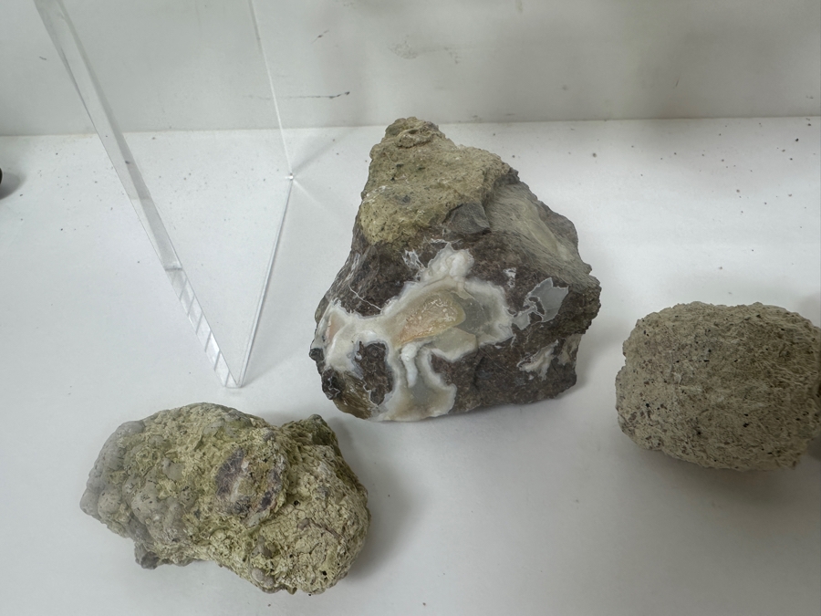 (16) Thundereggs Rock Geodes [Photo 13]