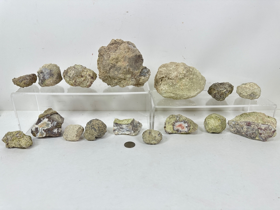 (16) Thundereggs Rock Geodes