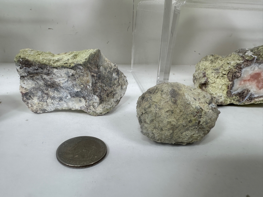 (16) Thundereggs Rock Geodes [Photo 10]