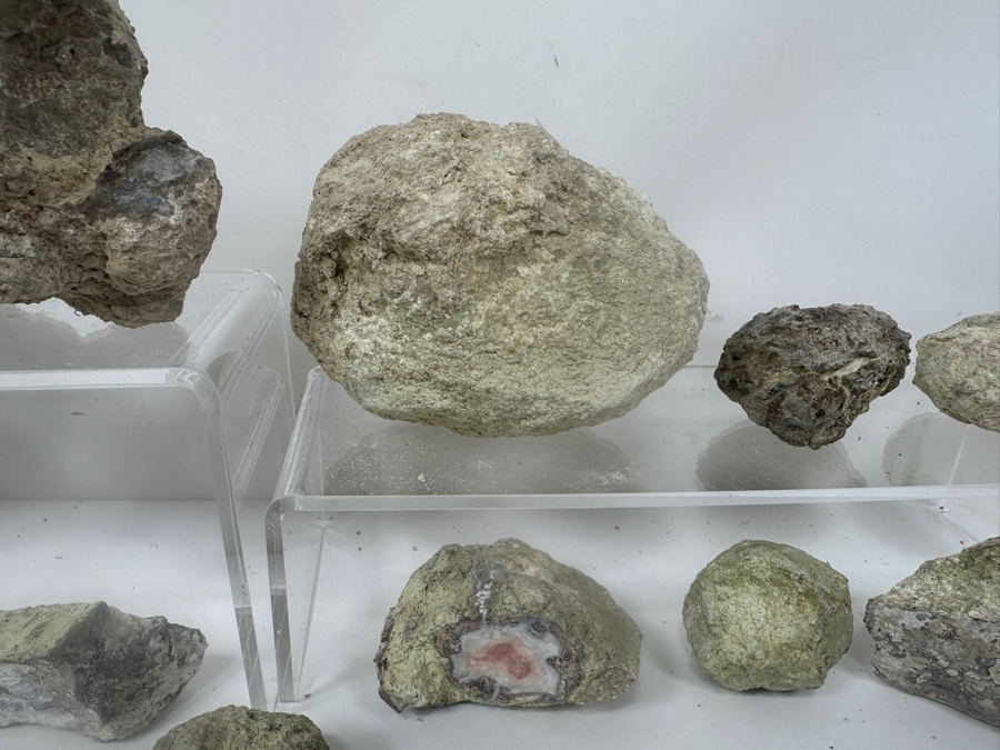 (16) Thundereggs Rock Geodes [Photo 4]
