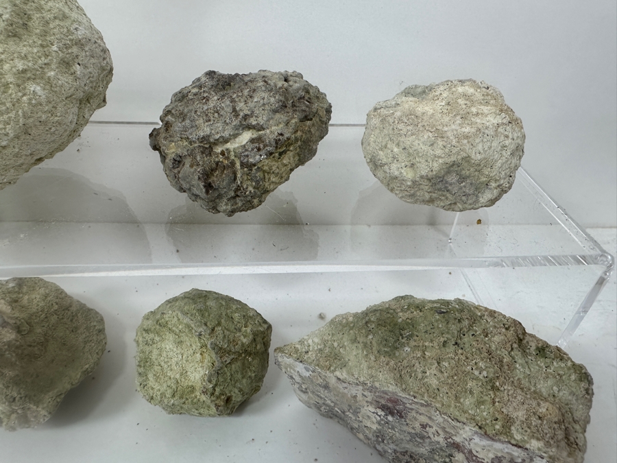 (16) Thundereggs Rock Geodes [Photo 7]