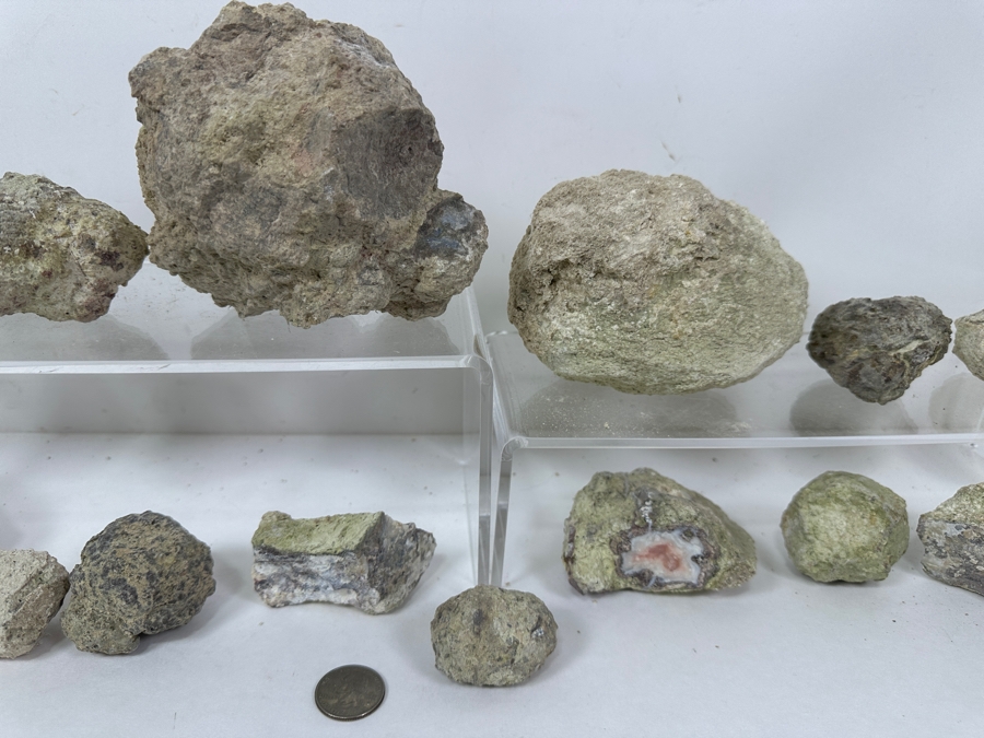 (16) Thundereggs Rock Geodes [Photo 5]