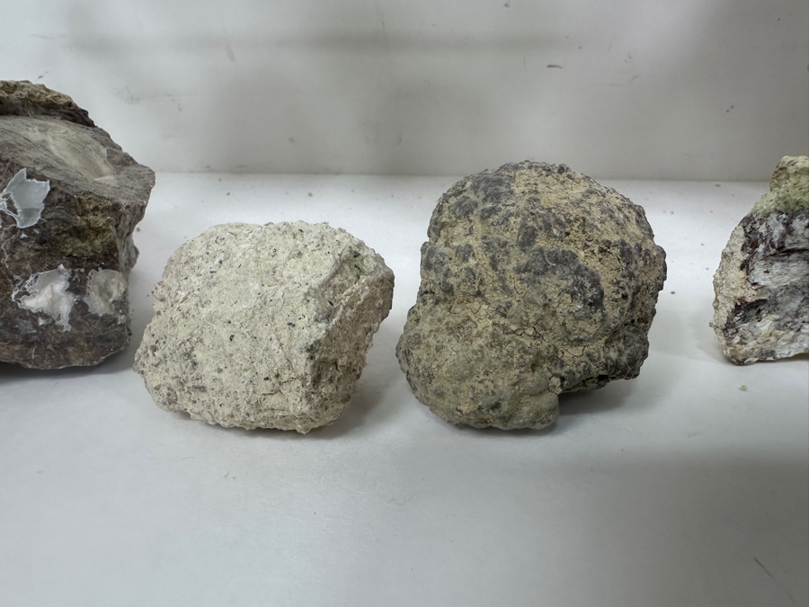 (16) Thundereggs Rock Geodes [Photo 11]