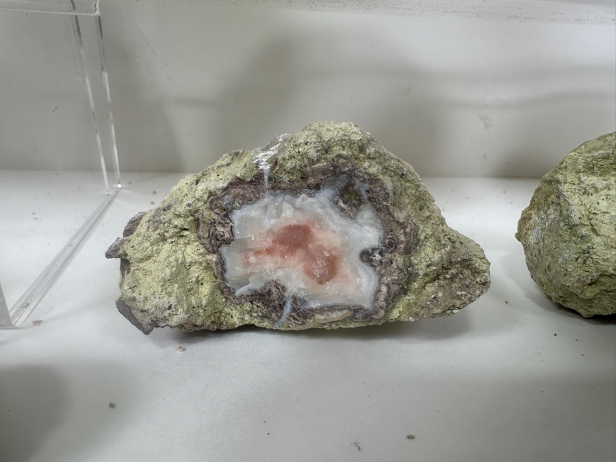 (16) Thundereggs Rock Geodes [Photo 9]