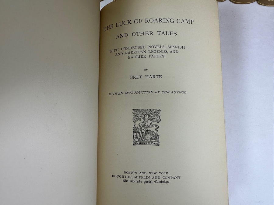 Antique Hardcover Books Set The Writings Of Bret Harte 19 Volumes 1899 Published By Houghton, Mifflin & Co [Photo 13]