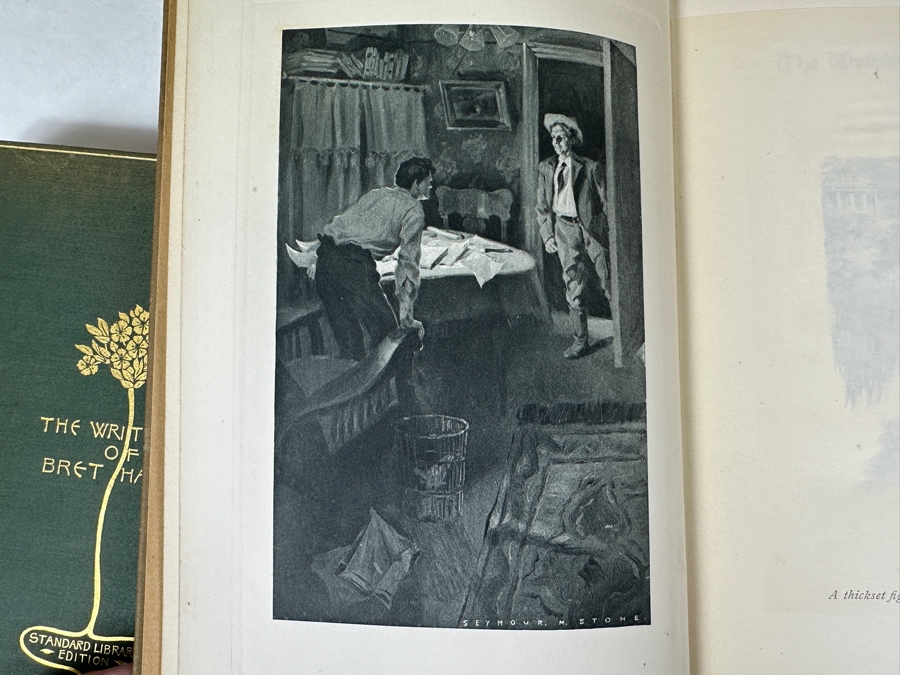 Antique Hardcover Books Set The Writings Of Bret Harte 19 Volumes 1899 Published By Houghton, Mifflin & Co [Photo 15]