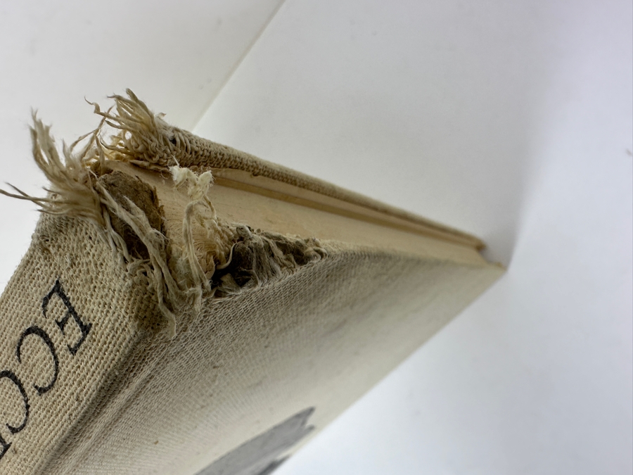 First Printing Hardcover Book Of The German Expressionist Artist George Grosz 1923 Drawing And Watercolor Collection Ecce Homo - Top Of Spine Is Damaged And 2 Pages Are Loose [Photo 3]