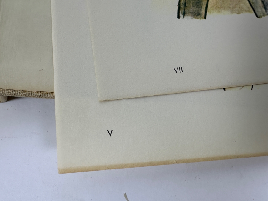 First Printing Hardcover Book Of The German Expressionist Artist George Grosz 1923 Drawing And Watercolor Collection Ecce Homo - Top Of Spine Is Damaged And 2 Pages Are Loose [Photo 15]