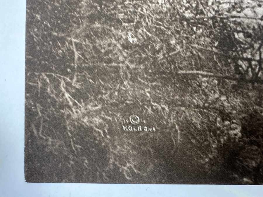 Just Added - Vintage Kolb Brothers Photogravure Print 10.5' X 14' [Photo 7]