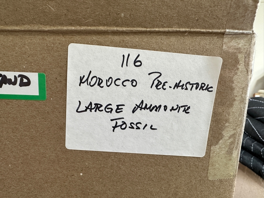 Large Moroccan Pre-Historic Ammonite Fossil With Lucite Stand 11'W X 11'H [Photo 9]