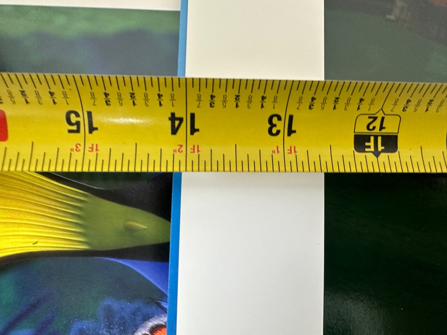 (4) Walt Disney Pictures Finding Nemo Lithographs 14 X 11 [Photo 8]