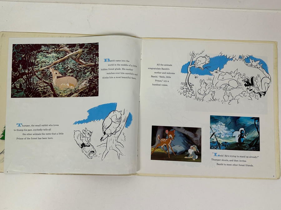 Vintage 1969 Walt Disney's Bambi Disneyland Vinyl Record With Illustrated Book ST 3903 [Photo 6]