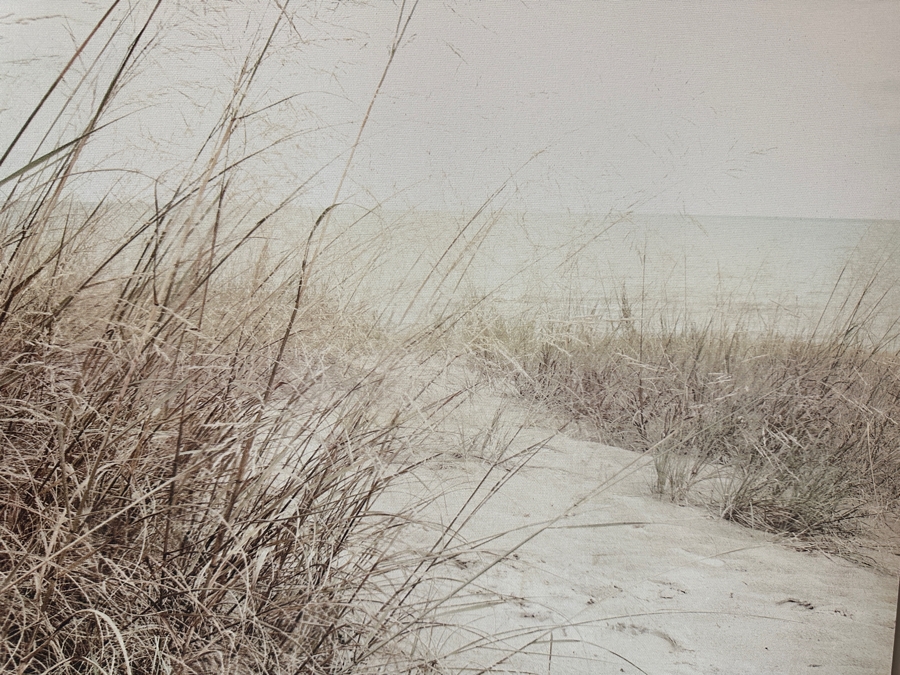 Emiko And Mark Franzen Framed Canvas Print 33 X 23 [Photo 2]