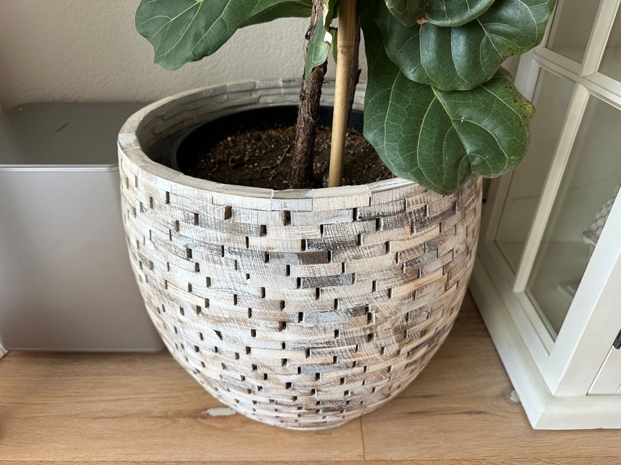 Large Indoor Natural Fiddle Leaf Fig Plant With Wooden Planter 88'H [Photo 2]