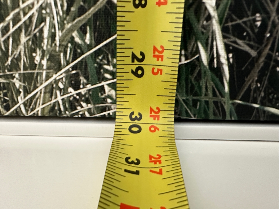 Beach Grass Framed Canvas Wall Art  40'W x 30'H [Photo 6]