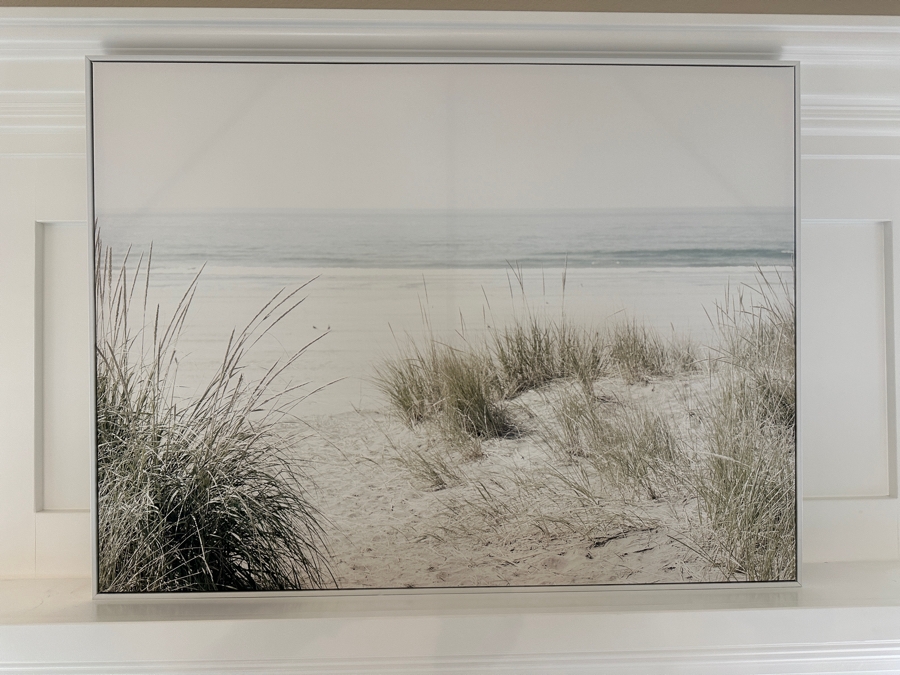 Beach Grass Framed Canvas Wall Art  40'W x 30'H