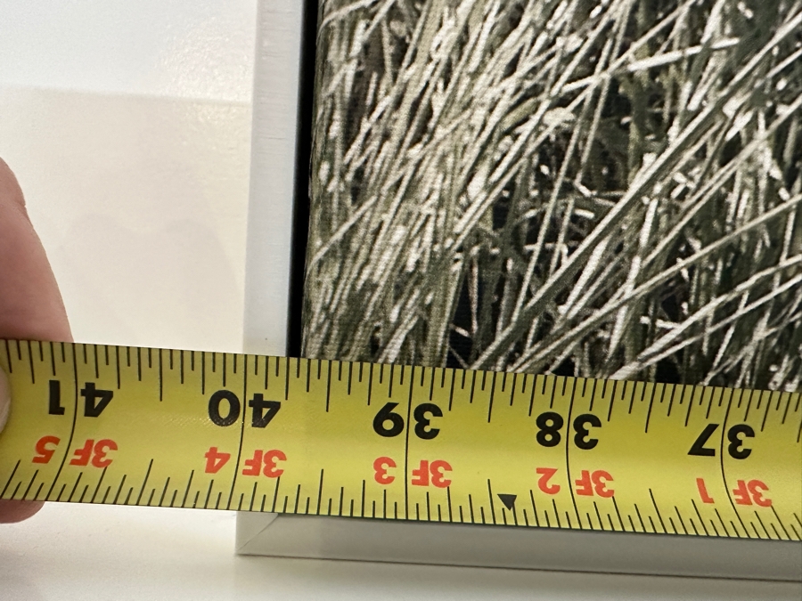 Beach Grass Framed Canvas Wall Art  40'W x 30'H [Photo 5]