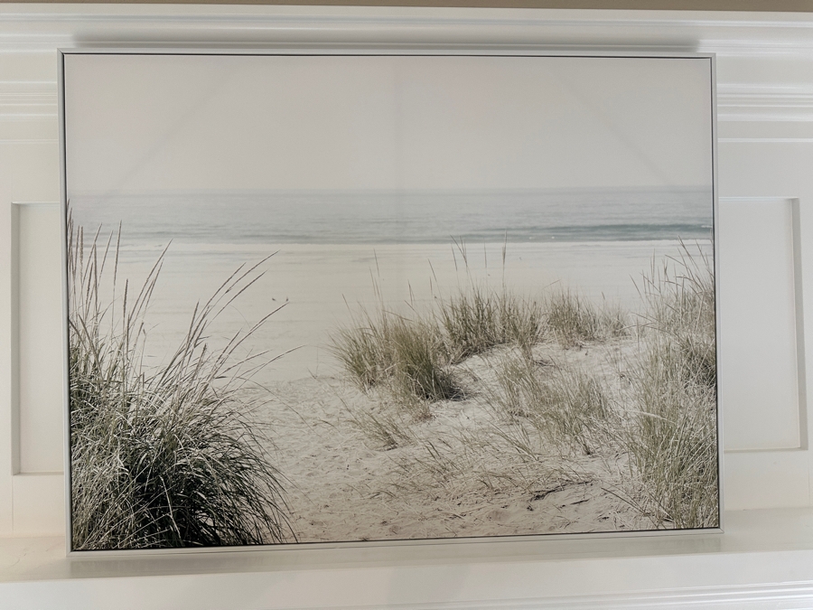 Beach Grass Framed Canvas Wall Art  40'W x 30'H [Photo 2]