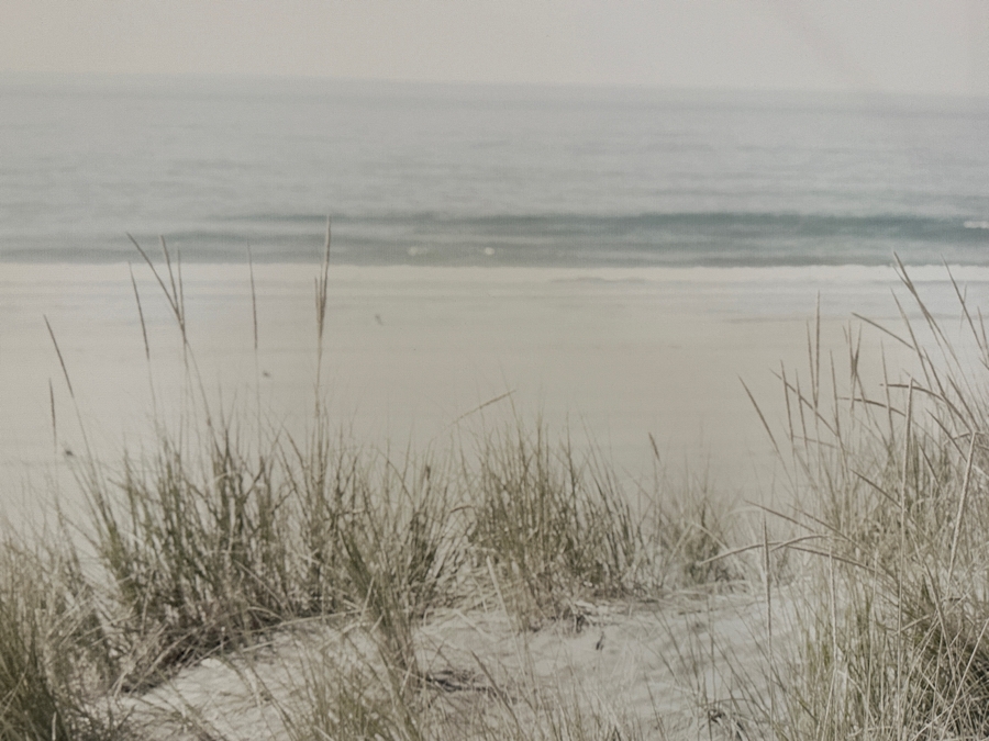 Beach Grass Framed Canvas Wall Art  40'W x 30'H [Photo 4]