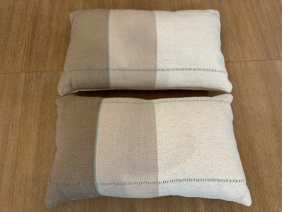 Set of (2) Decorative Throw Pillows 22'L