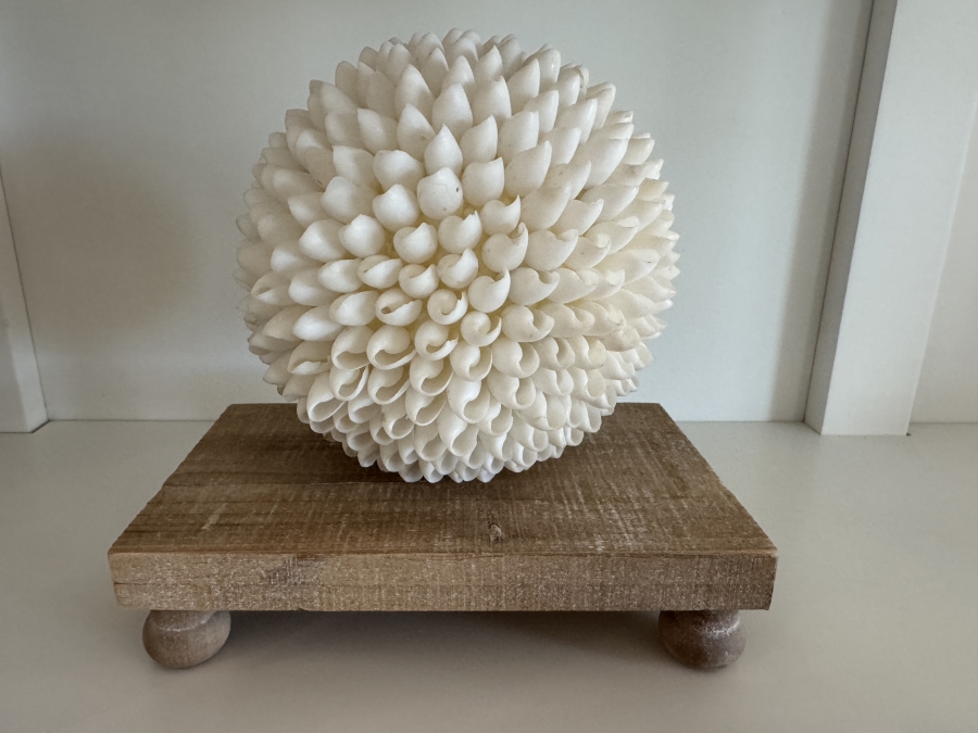 White Decorative Seashell Sphere On Wooden Stand 6'W