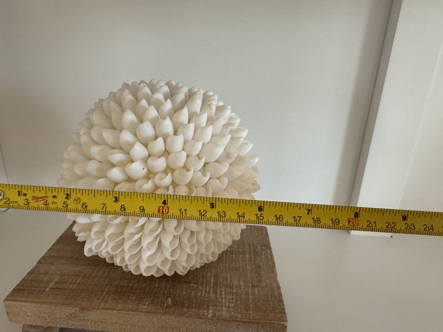 White Decorative Seashell Sphere On Wooden Stand 6'W [Photo 3]