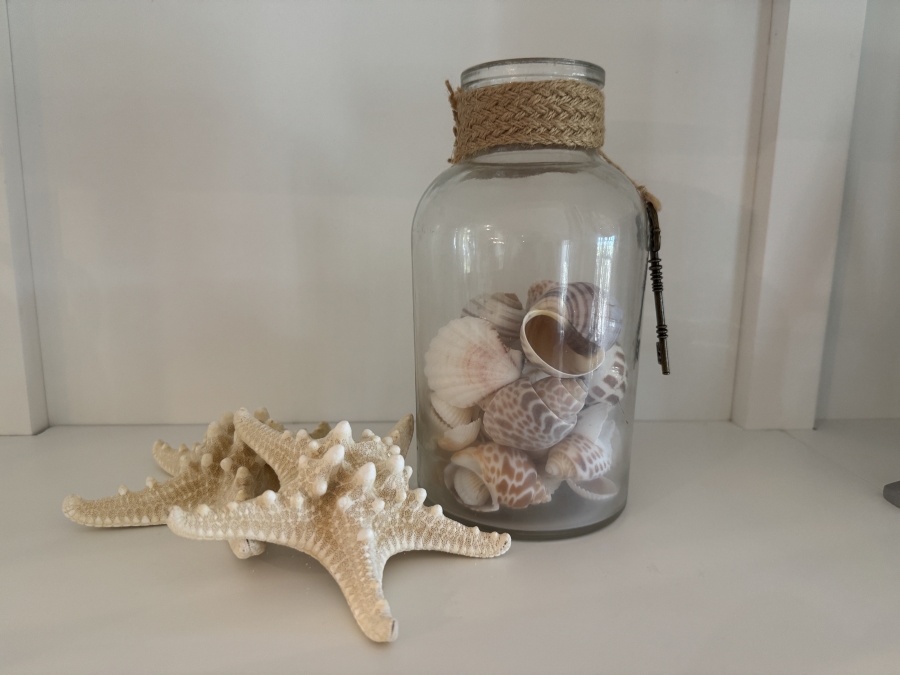  Glass Bottle Filled with Assorted Seashells and Pair of Starfish