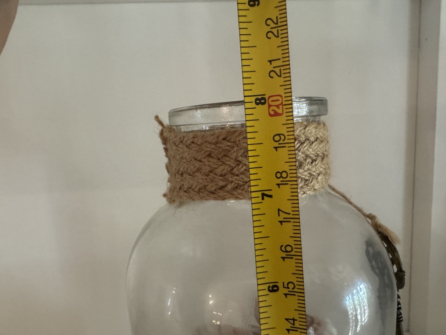  Glass Bottle Filled with Assorted Seashells and Pair of Starfish [Photo 3]
