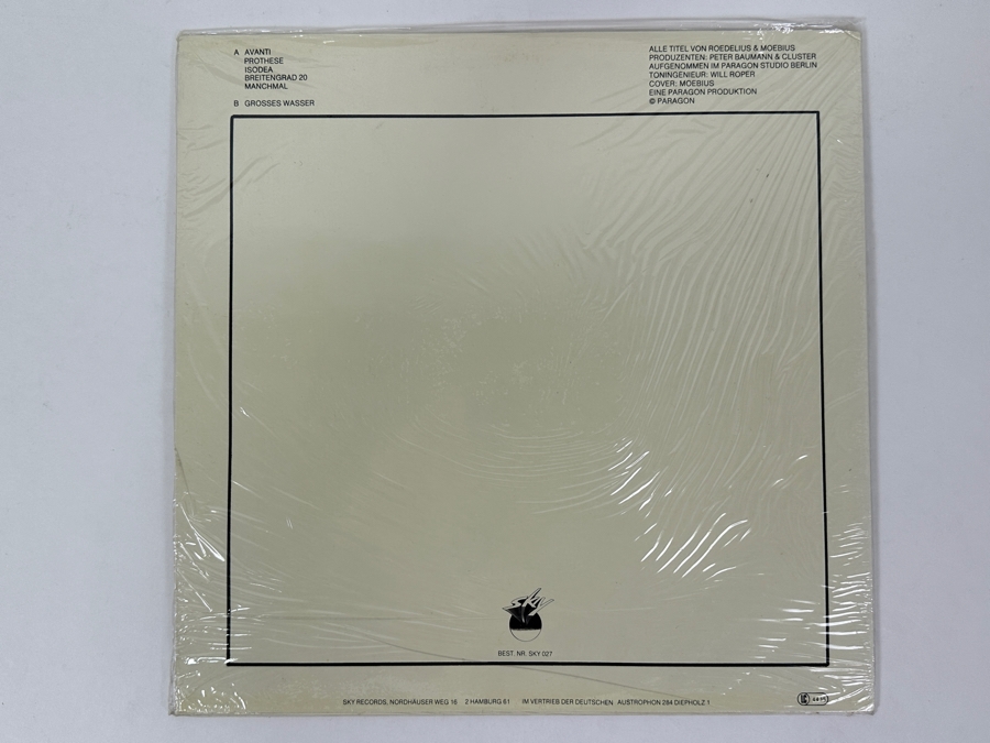 Cluster - Grosses Wasser - Sky Records Sky 027 1979 Cover Art By Moebius Vinyl Record [Photo 2]