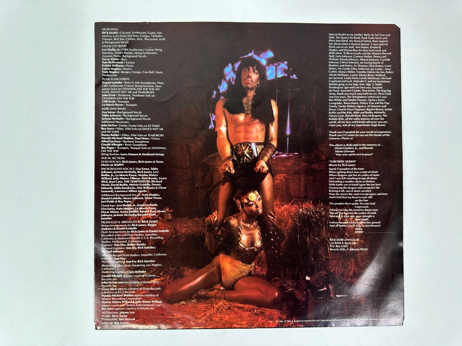 Rick James - Throwin' Down, Gordy / Motown Records 6005GL 1982 Vinyl Record [Photo 6]