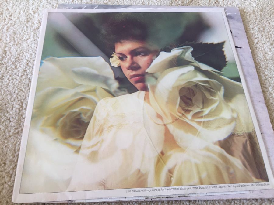 Phoebe Snow ‎- Never Letting Go - Columbia ‎- JC 34875 - PROMO [Photo 5]