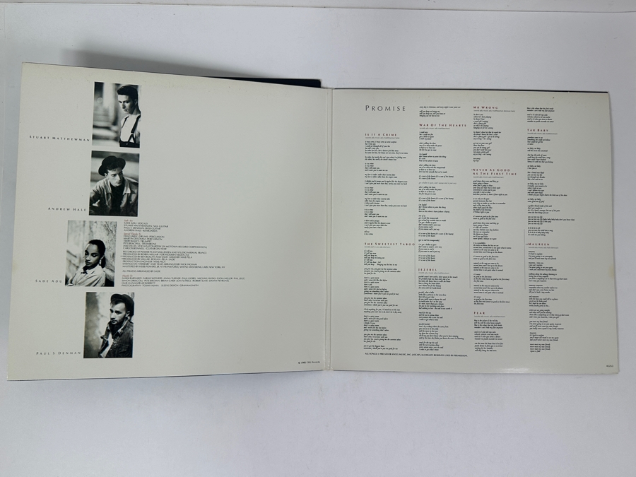 (2) Sade Vinyl Records [Photo 3]