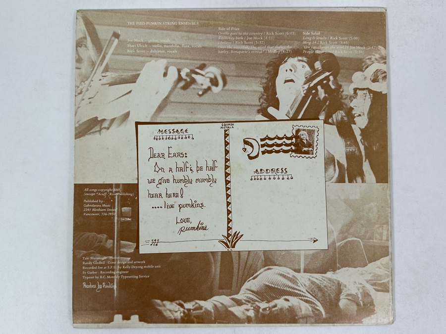 The Pied Pumkin String Ensemble - The Pied Pumkin String Ensemble - Squash Records 1975 Vinyl Record [Photo 2]