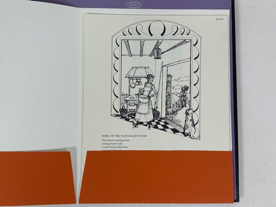 Donovan - A Gift From A Flower To A Garden Epic B2N 171 1967 2 x Vinyl Record Box Set [Photo 6]