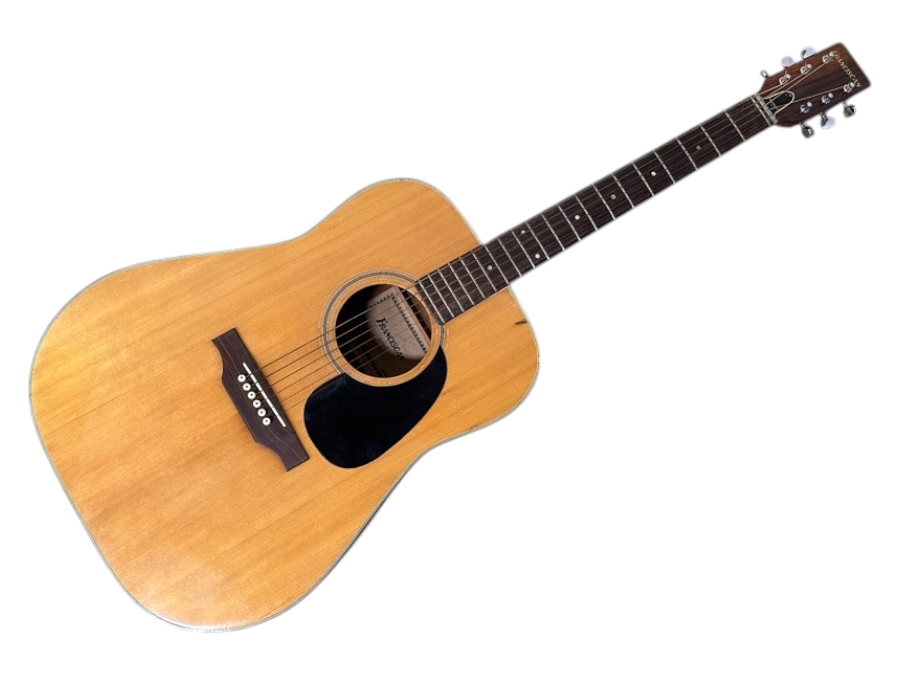 Franciscan Natural Finish Acoustic Guitar Model No. 6910 With Hard Guitar Case 41'L