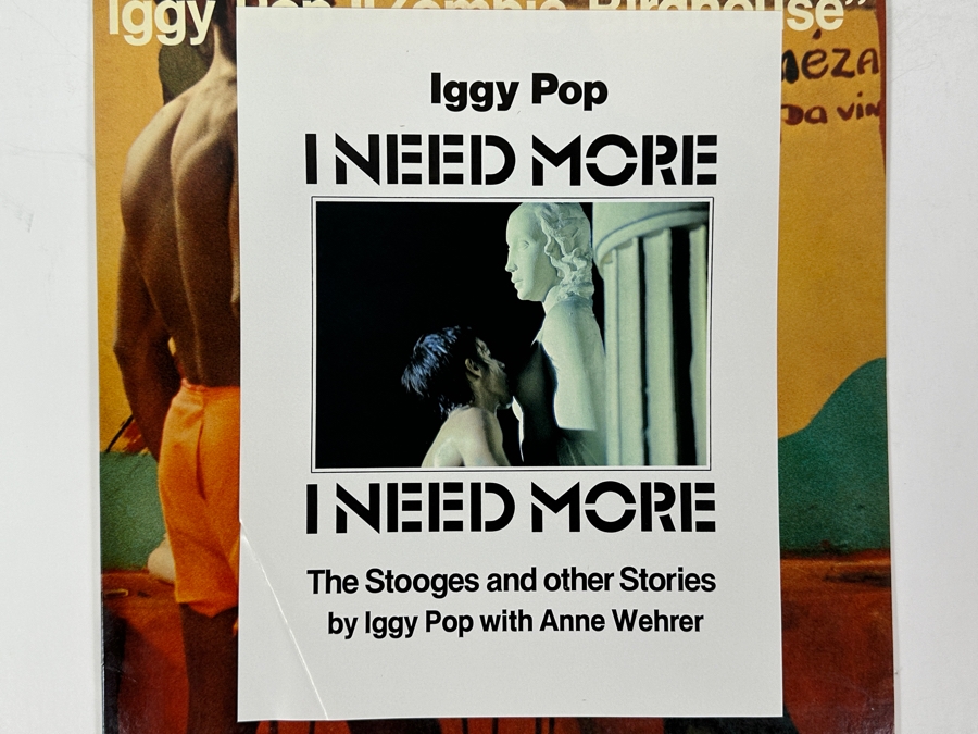 Iggy Pop - Zombie Birdhouse Animal Records APE 6000 1982 Vinyl Record [Photo 3]