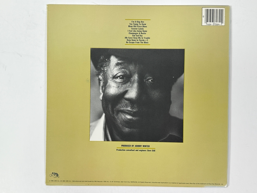 Muddy Waters - King Bee - Blue Sky PZ 37046 1981 Vinyl Record [Photo 2]