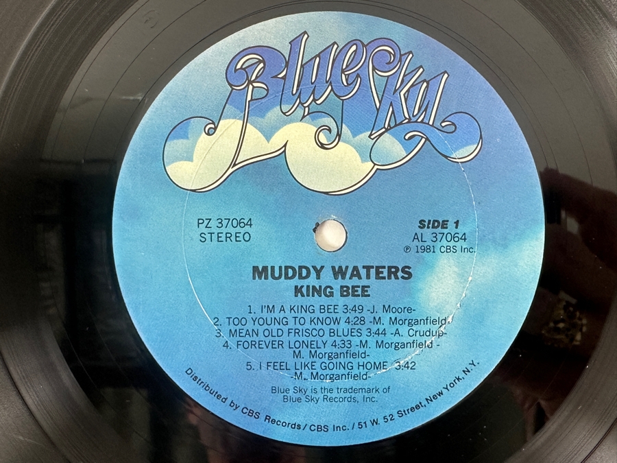 Muddy Waters - King Bee - Blue Sky PZ 37046 1981 Vinyl Record [Photo 4]