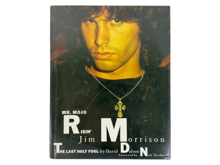 Just Added - 1991 Hardcover First Edition Book Jim Morrison Biography, 'Mr. Mojo Risin' Jim Morrison The Last Holy Fool' By David Dalton
