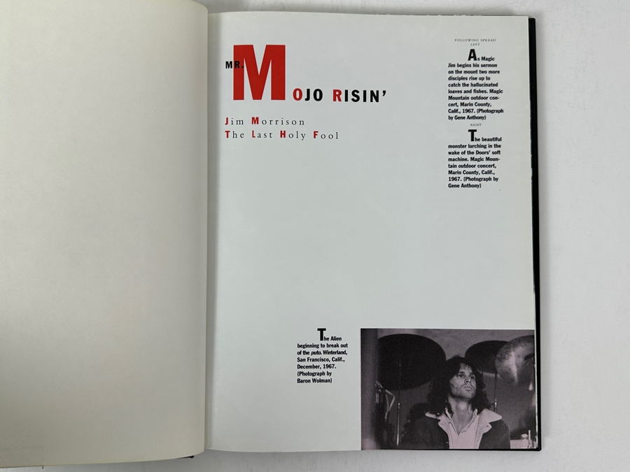 Just Added - 1991 Hardcover First Edition Book Jim Morrison Biography, 'Mr. Mojo Risin' Jim Morrison The Last Holy Fool' By David Dalton [Photo 2]