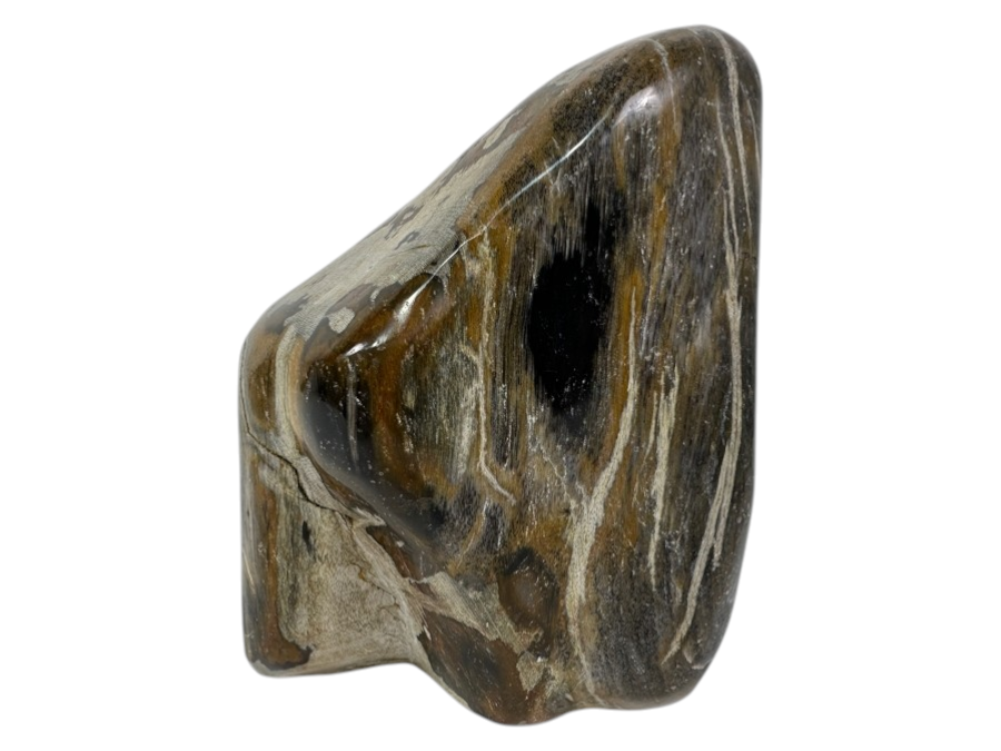 Just Added - Organic Glossy Petrified Wood Sculpture 7'H